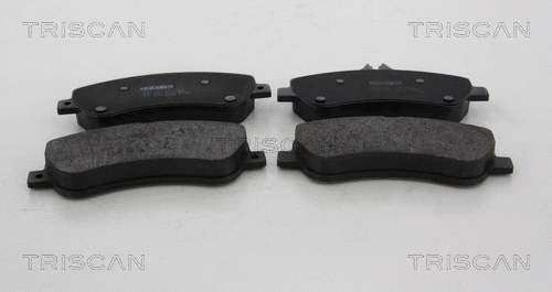 Brake Pad Set, disc brake (8110 23066)