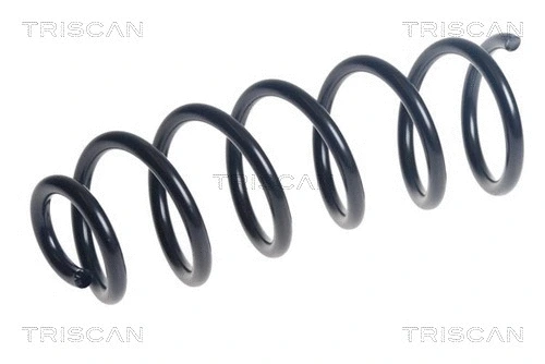Suspension Spring (8750 25139)