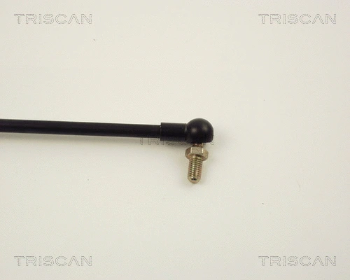 Gas Spring, bonnet
