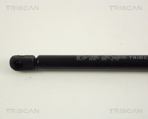 Gas Spring, boot/cargo area