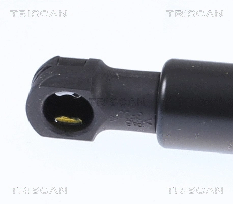 Gas Spring, boot/cargo area