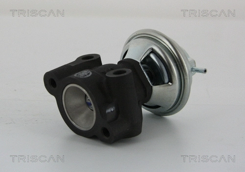 EGR Valve (8813 43014)