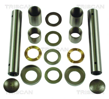 Repair Kit, kingpin (8500 3820)