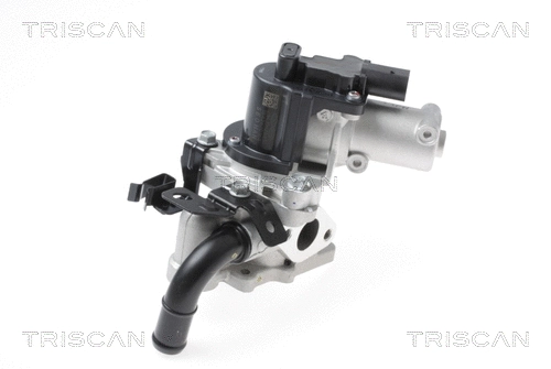 EGR Valve (8813 43017)