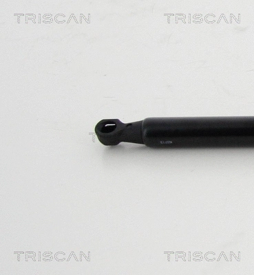 Gas Spring, boot/cargo area