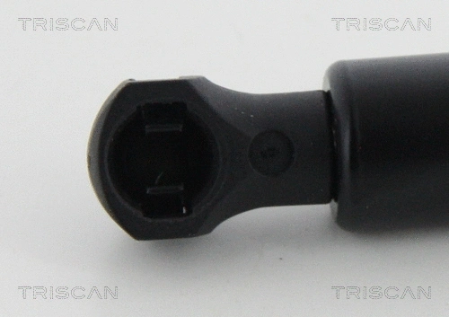 Gas Spring, boot/cargo area