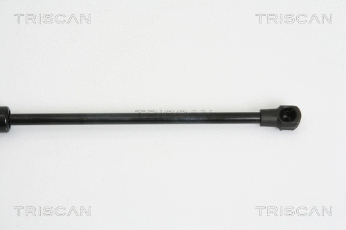 Gas Spring, boot/cargo area