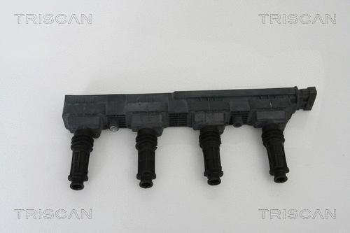 Ignition Coil (8860 24009)