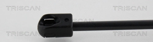 Gas Spring, bonnet