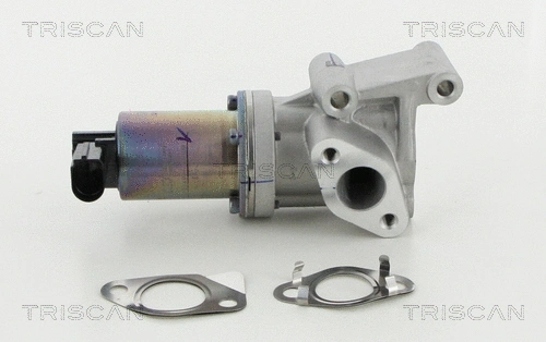EGR Valve (8813 18038)
