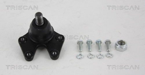 Ball Joint (8500 18501)