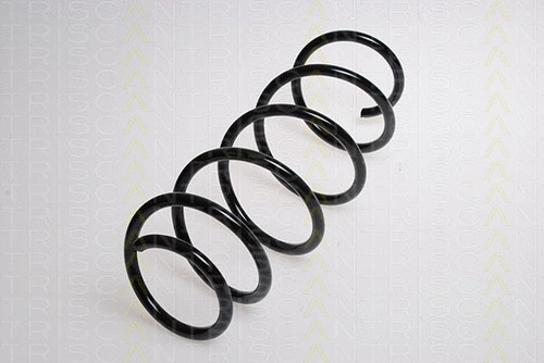 Suspension Spring (8750 15109)