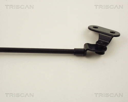 Gas Spring, boot/cargo area