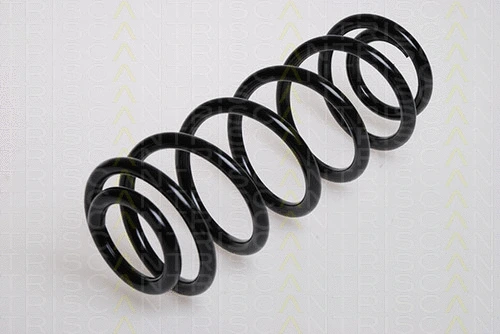 Suspension Spring (8750 29101)