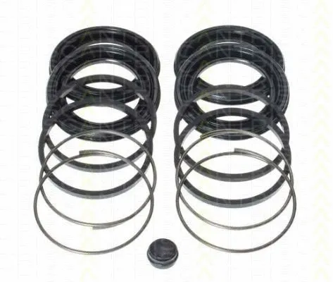 Repair Kit, brake caliper (8170 205136)