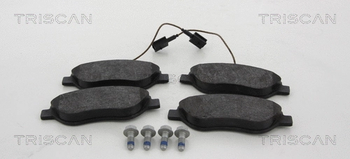 Brake Pad Set, disc brake (8110 12023)