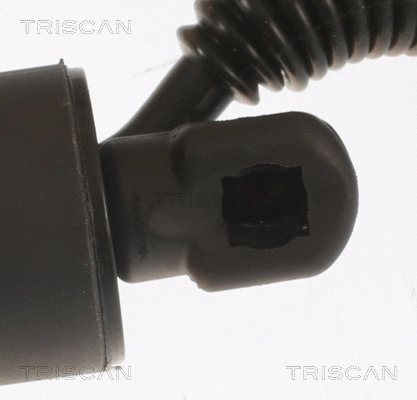 Gas Spring, boot/cargo area