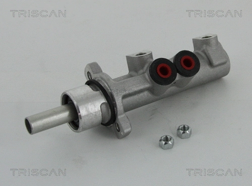 Brake Master Cylinder (8130 24163)