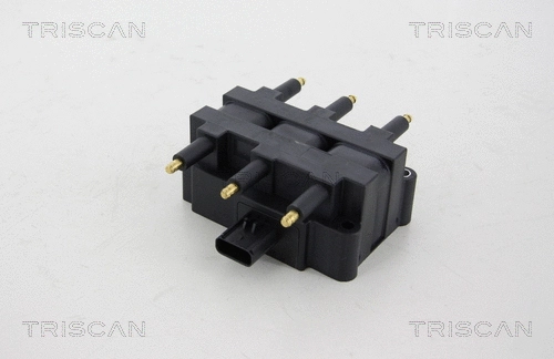 Ignition Coil (8860 80005)