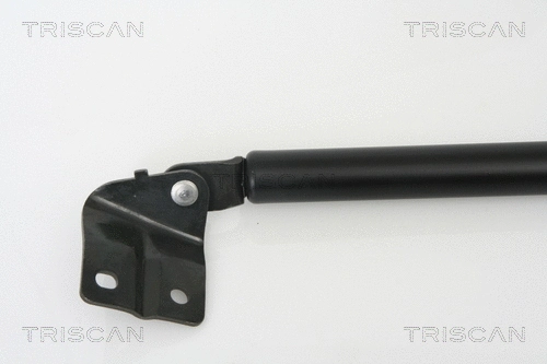 Gas Spring, boot/cargo area