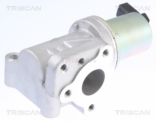 EGR Valve (8813 43015)