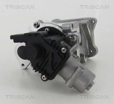 EGR Valve (8813 10007)