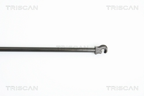 Gas Spring, boot/cargo area