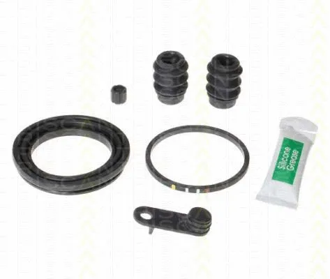 Repair Kit, brake caliper (8170 205495)