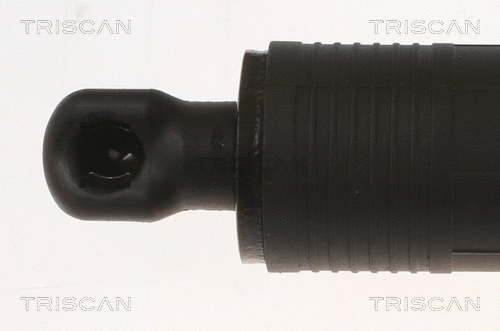 Gas Spring, boot/cargo area