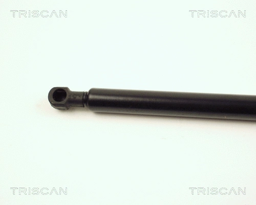 Gas Spring, boot/cargo area