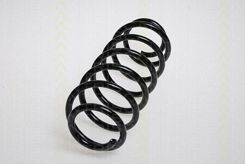 Suspension Spring (8750 4245)