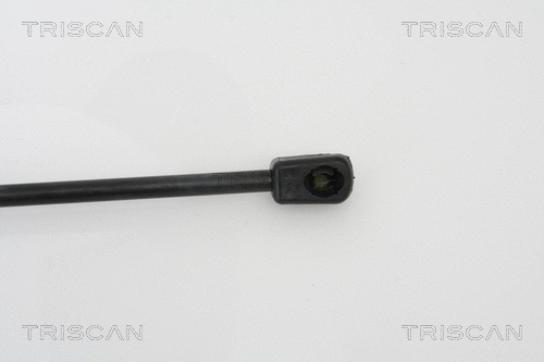 Gas Spring, boot/cargo area