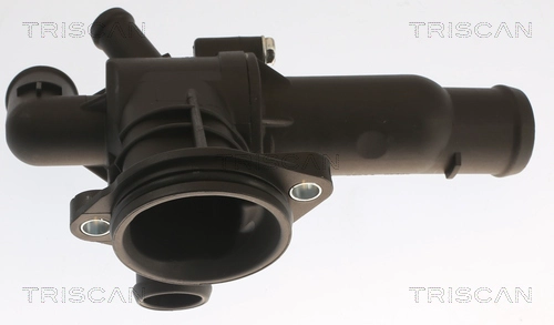 Thermostat, coolant (8620 55387)