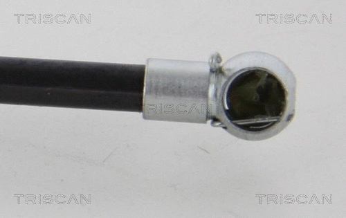 Gas Spring, boot/cargo area