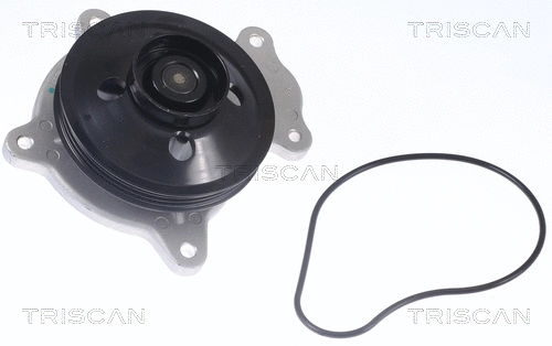 Water Pump, engine cooling (8600 13048)