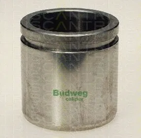 Piston, brake caliper (8170 234822)