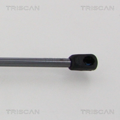 Gas Spring, boot/cargo area