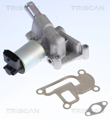 EGR Valve (8813 24001)