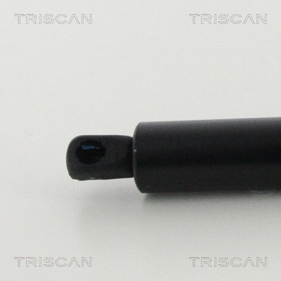 Gas Spring, boot/cargo area