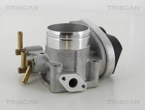 Throttle Body (8820 29006)