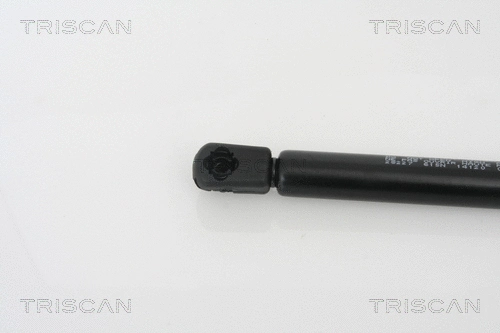 Gas Spring, boot/cargo area
