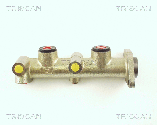 Brake Master Cylinder (8130 16101)