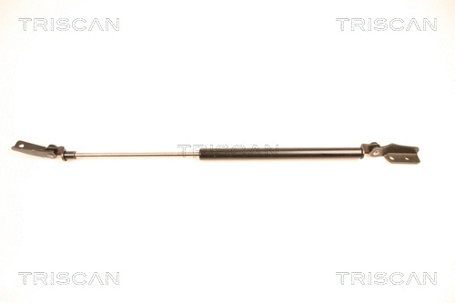 Gas Spring, boot/cargo area (8710 14233)