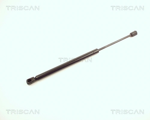 Gas Spring, boot/cargo area (8710 28209)