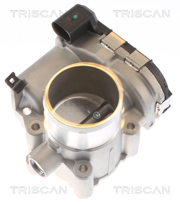 Throttle Body (8820 16002)