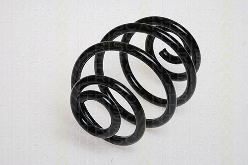 Suspension Spring (8750 24025)