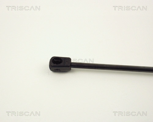 Gas Spring, boot/cargo area