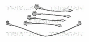 Ignition Cable Kit (8860 4013)
