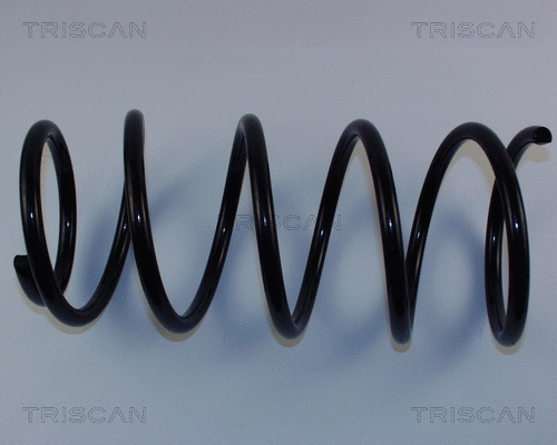 Suspension Spring (8750 2496)