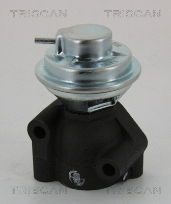 EGR Valve (8813 43040)